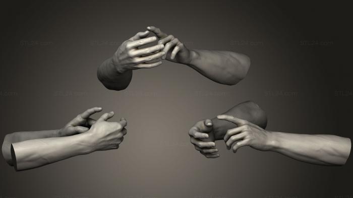 Анатомия скелеты и черепа (Мужские руки 19, ANTM_0835) 3D модель для ЧПУ станка